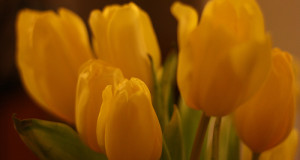 Review of the article ‘The Month overflowing with mercy’