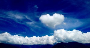 Reflection on the article ‘The Heart’