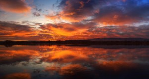 Reflection on the article ‘The Tests”