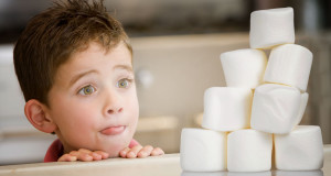 RELIABLE ENVIRONMENT : GULEN INSPIRED SCHOOLS