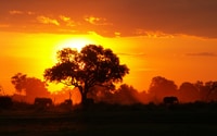 Africa