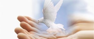 Hizmet Movement